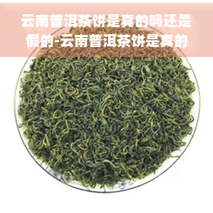 云南普洱茶饼是真的吗还是假的-云南普洱茶饼是真的吗还是假的啊