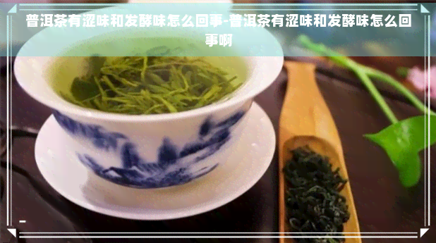 普洱茶有涩味和发酵味怎么回事-普洱茶有涩味和发酵味怎么回事啊