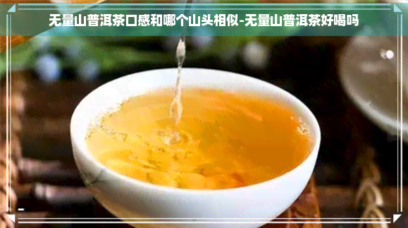 无量山普洱茶口感和哪个山头相似-无量山普洱茶好喝吗