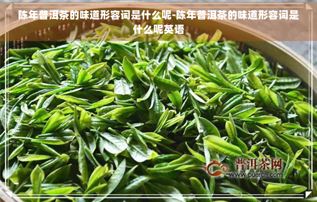 陈年普洱茶的味道形容词是什么呢-陈年普洱茶的味道形容词是什么呢英语