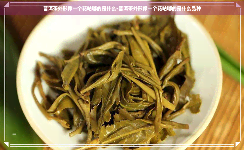 普洱茶外形像一个花咕嘟的是什么-普洱茶外形像一个花咕嘟的是什么品种