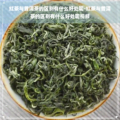 红茶与普洱茶的区别有什么好处呢-红茶与普洱茶的区别有什么好处呢视频