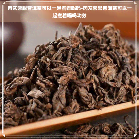 肉苁蓉跟普洱茶可以一起煮着喝吗-肉苁蓉跟普洱茶可以一起煮着喝吗功效