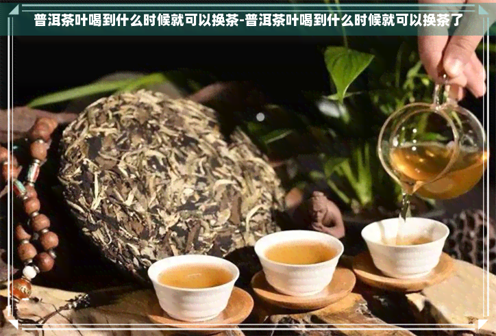 普洱茶叶喝到什么时候就可以换茶-普洱茶叶喝到什么时候就可以换茶了