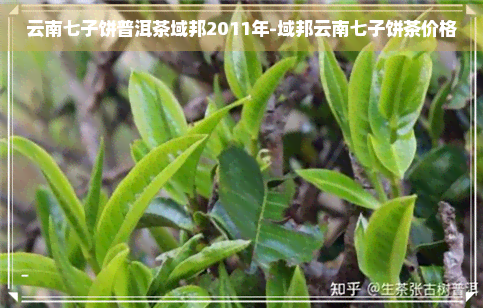 云南七子饼普洱茶域邦2011年-域邦云南七子饼茶价格