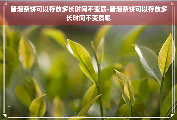 普洱茶饼可以存放多长时间不变质-普洱茶饼可以存放多长时间不变质呢