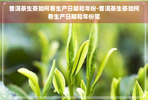 普洱茶生茶如何看生产日期和年份-普洱茶生茶如何看生产日期和年份呢