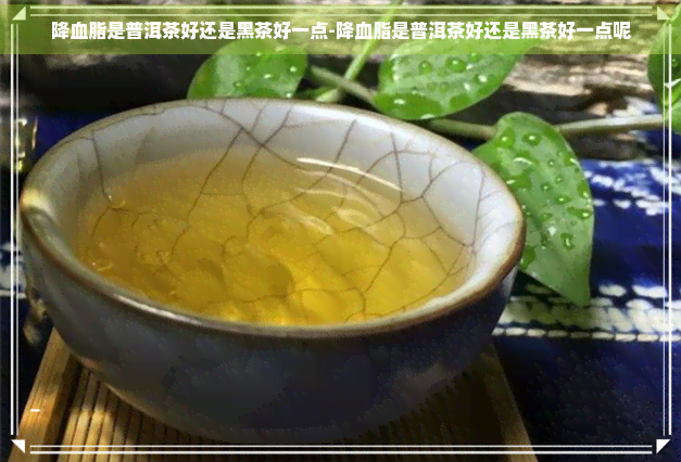 降血脂是普洱茶好还是黑茶好一点-降血脂是普洱茶好还是黑茶好一点呢