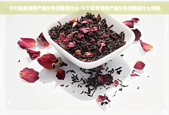 今大福普洱茶产地分布范围是什么-今大福普洱茶产地分布范围是什么样的