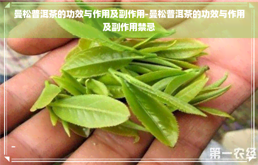 曼松普洱茶的功效与作用及副作用-曼松普洱茶的功效与作用及副作用禁忌