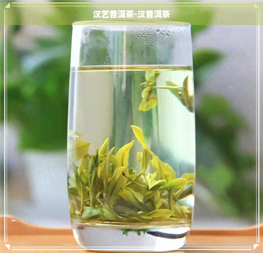 汉艺普洱茶-汉普洱茶