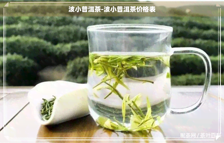 波小普洱茶-波小普洱茶价格表