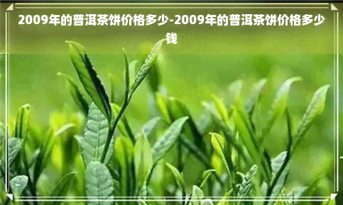 2009年的普洱茶饼价格多少-2009年的普洱茶饼价格多少钱