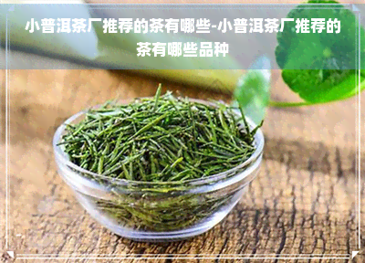 小普洱茶厂推荐的茶有哪些-小普洱茶厂推荐的茶有哪些品种