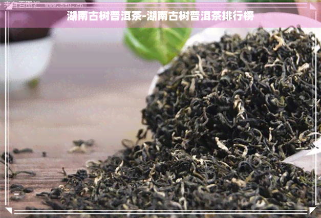 湖南古树普洱茶-湖南古树普洱茶排行榜