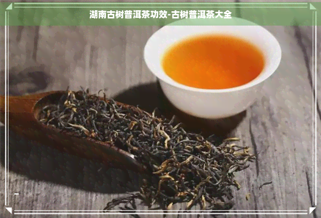 湖南古树普洱茶功效-古树普洱茶大全