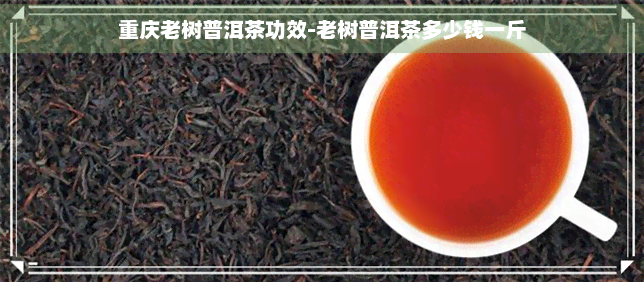 重庆老树普洱茶功效-老树普洱茶多少钱一斤