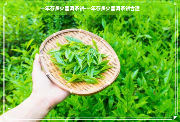 一年存多少普洱茶饼-一年存多少普洱茶饼合适