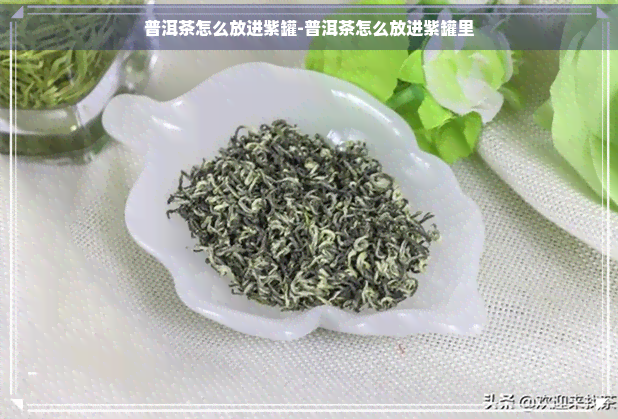 普洱茶怎么放进紫罐-普洱茶怎么放进紫罐里