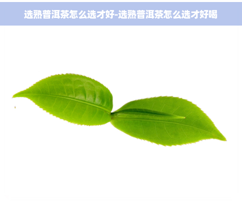 选熟普洱茶怎么选才好-选熟普洱茶怎么选才好喝