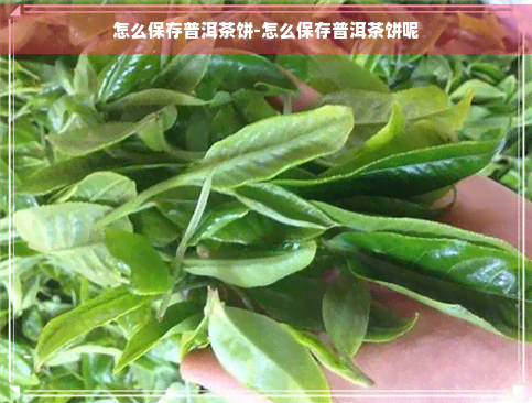 怎么保存普洱茶饼-怎么保存普洱茶饼呢