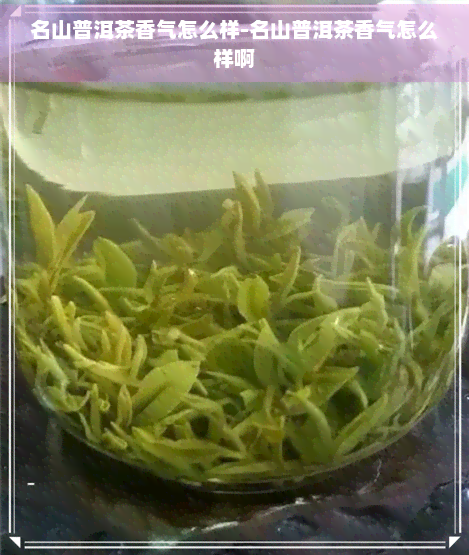 名山普洱茶香气怎么样-名山普洱茶香气怎么样啊