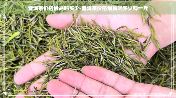 普洱茶价格更高吗多少-普洱茶价格更高吗多少钱一斤