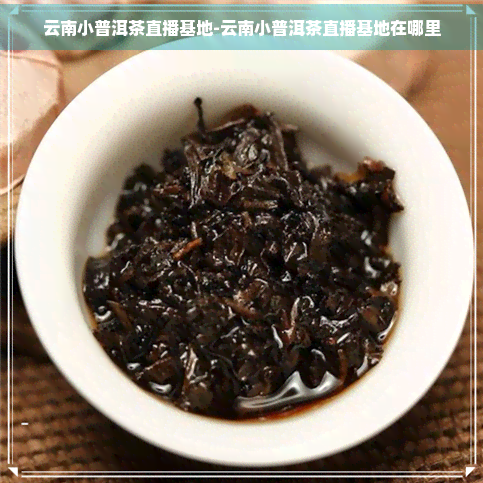 云南小普洱茶直播基地-云南小普洱茶直播基地在哪里