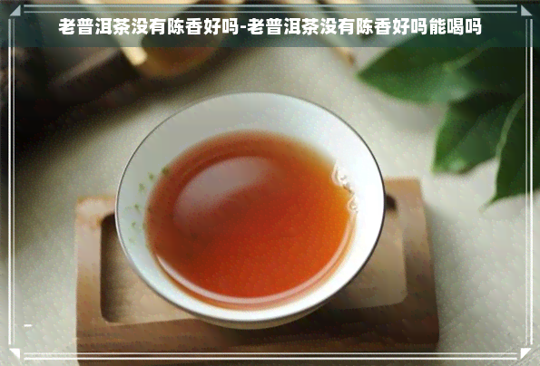 老普洱茶没有陈香好吗-老普洱茶没有陈香好吗能喝吗