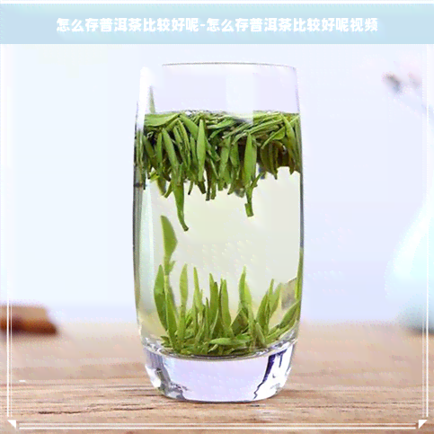 怎么存普洱茶比较好呢-怎么存普洱茶比较好呢视频