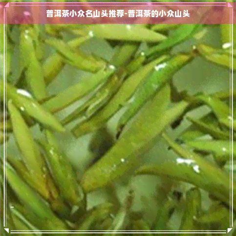 普洱茶小众名山头推荐-普洱茶的小众山头