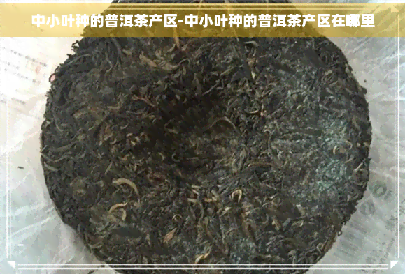 中小叶种的普洱茶产区-中小叶种的普洱茶产区在哪里