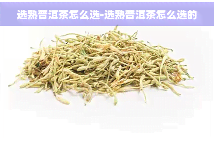 选熟普洱茶怎么选-选熟普洱茶怎么选的