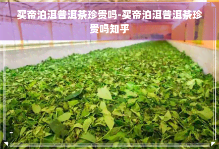 买帝泊洱普洱茶珍贵吗-买帝泊洱普洱茶珍贵吗知乎