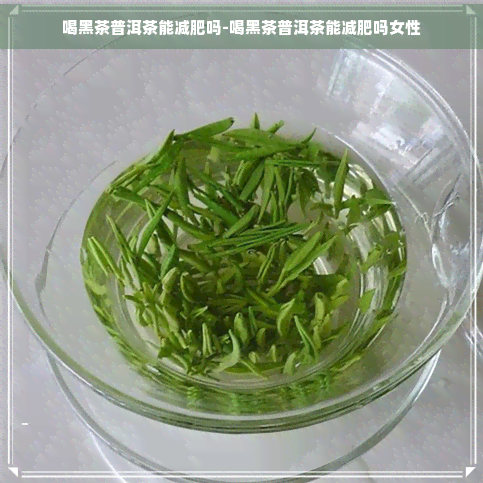 喝黑茶普洱茶能减肥吗-喝黑茶普洱茶能减肥吗女性