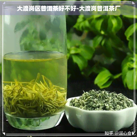 大渡岗区普洱茶好不好-大渡岗普洱茶厂