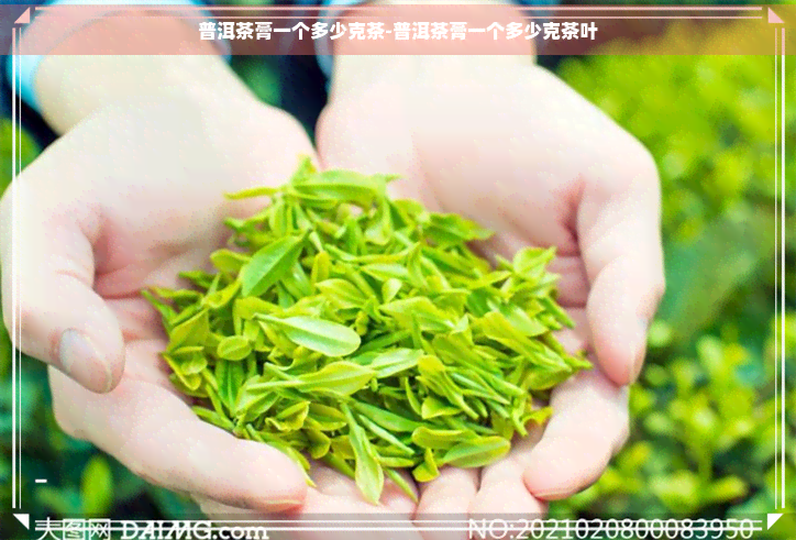 普洱茶膏一个多少克茶-普洱茶膏一个多少克茶叶