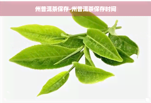 州普洱茶保存-州普洱茶保存时间