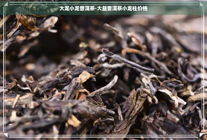 大龙小龙普洱茶-大益普洱茶小龙柱价格