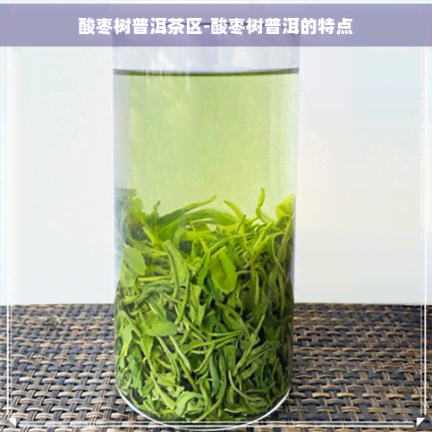 酸枣树普洱茶区-酸枣树普洱的特点