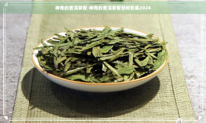 神奇的普洱茶智-神奇的普洱茶智慧树答案2024