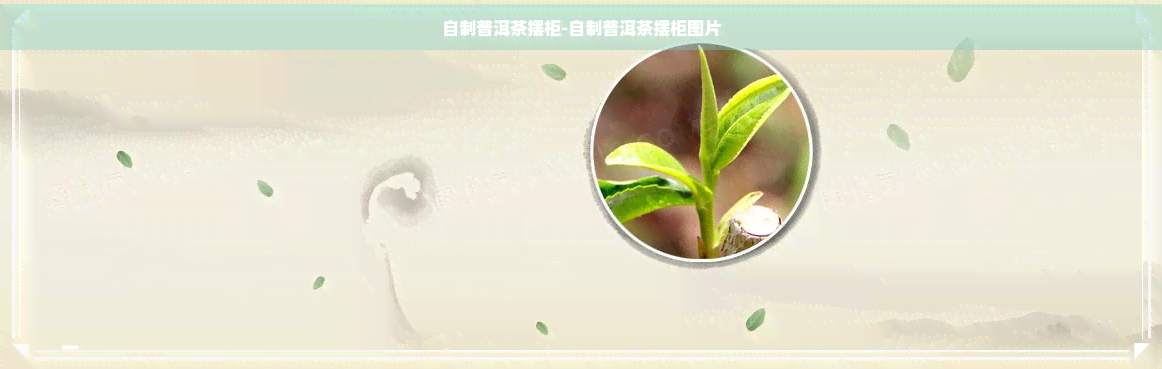 自制普洱茶摆柜-自制普洱茶摆柜图片