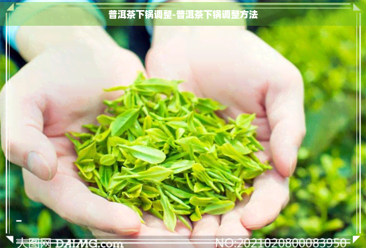 普洱茶下锅调整-普洱茶下锅调整方法