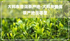 大邦东普洱茶产地-大邦东普洱茶产地是哪里