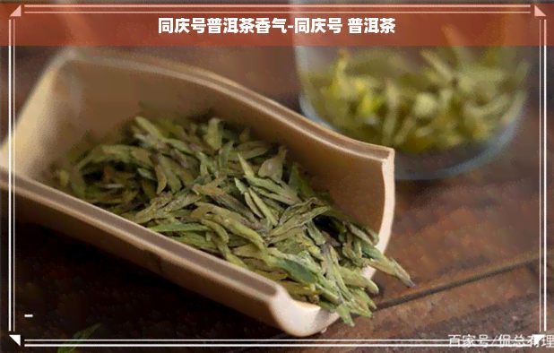 同庆号普洱茶香气-同庆号 普洱茶