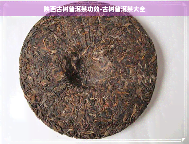 陕西古树普洱茶功效-古树普洱茶大全