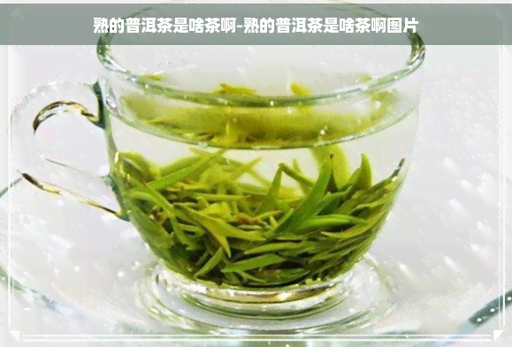 熟的普洱茶是啥茶啊-熟的普洱茶是啥茶啊图片