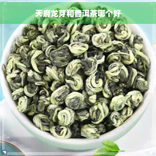 天府龙芽和普洱茶哪个好