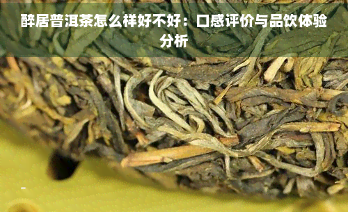 醉居普洱茶怎么样好不好：口感评价与品饮体验分析