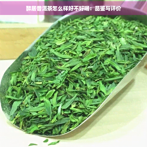 醉居普洱茶怎么样好不好喝：品鉴与评价